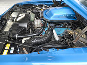 1978 Pontiac Firebird-29