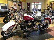 2013 Harley-Davidson FLSTN-8
