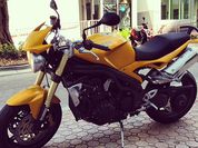 2006 Triumph Speed Triple-2